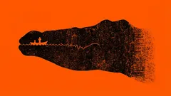 What did you see first: a psychological test that reveals the main traits of your personality