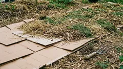 Why gardeners and vegetable growers need to collect cardboard: 5 ways to use it