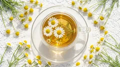 What not to drink with chamomile tea: remember once and for all