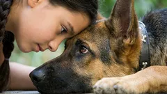 Talk to your dog in its language: 7 gestures that replace "I love you"
