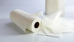 7 things you should never clean with paper towels and what to use instead