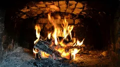 How to heat a stove with green wood and save fuel: tips for efficient heating