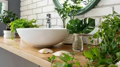 5 plants for the bathroom that will make it cozier
