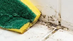 This dairy drink instantly removes mold stains.