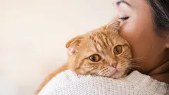 8 things a cat will forgive its owner for only out of great love