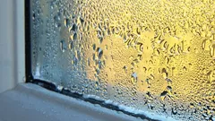 Why plastic windows "cry" in winter: and what you can do to eliminate condensation for good.